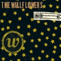 Wallflowers.jpg