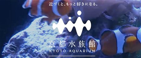 梅小路京都西駅からすぐ　京都水族館　公式サイト