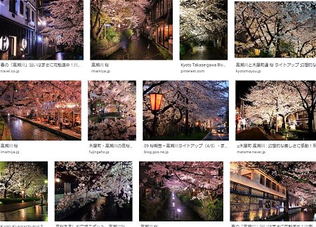 幻想的な夜の木屋町のライトアップ桜