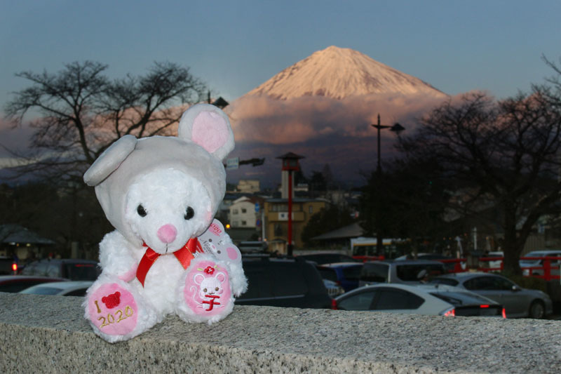 ご当地ベア 2020ねずみ 浅間大社からの富士山と 200102