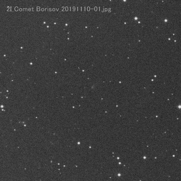 2I_Comet-Borisov_20191110JST.gif