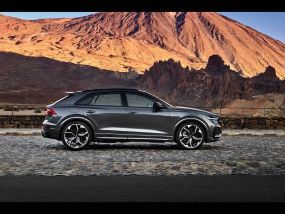 Audi RS Q8 [2020] 003