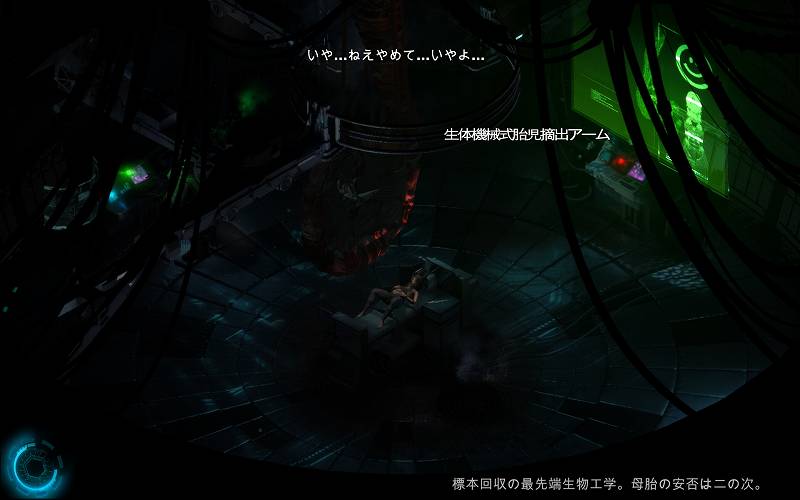 PC ゲーム CAYNE 日本語化メモ、日本語化後のスクリーンショット