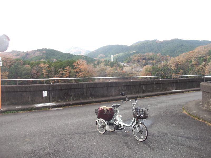 20211126カトラ林道サイクリング (3)