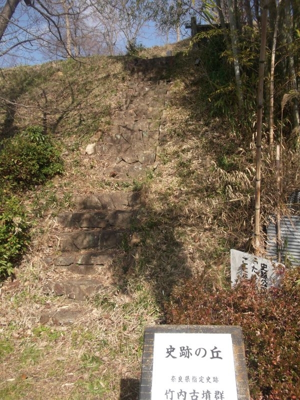 20220104麻呂子山 (86)