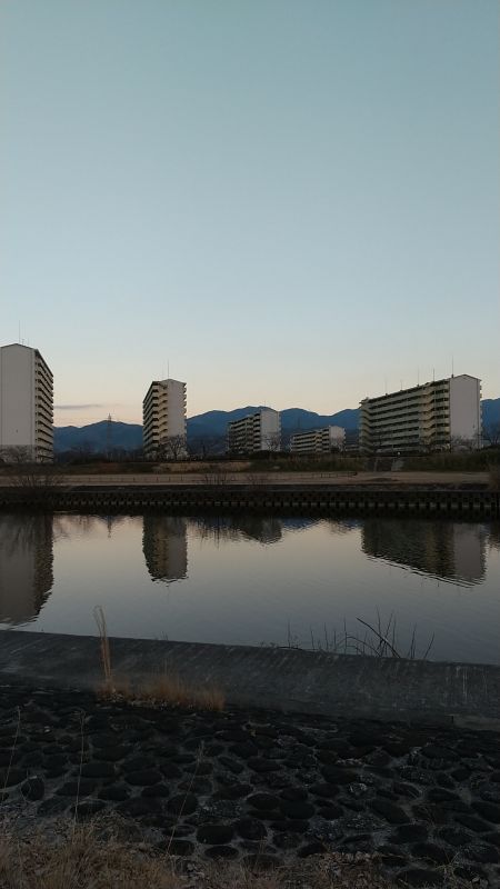 20220207石川沿い (2)