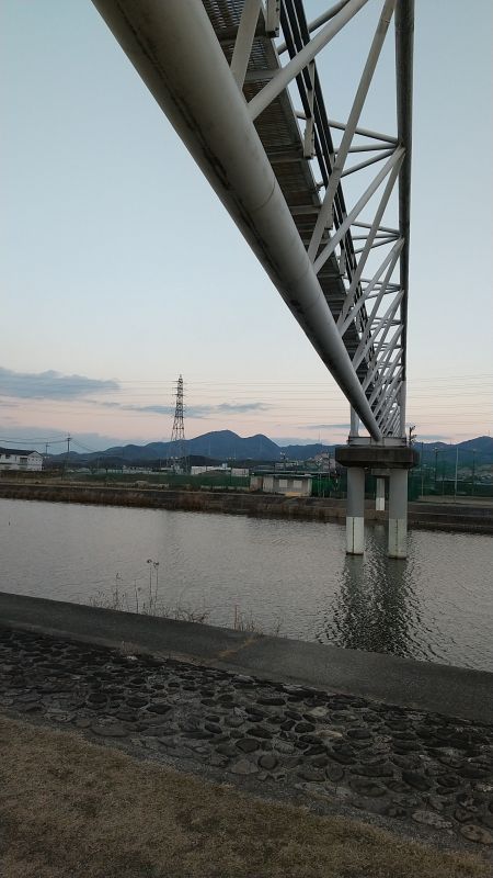 20220207石川沿い (7)