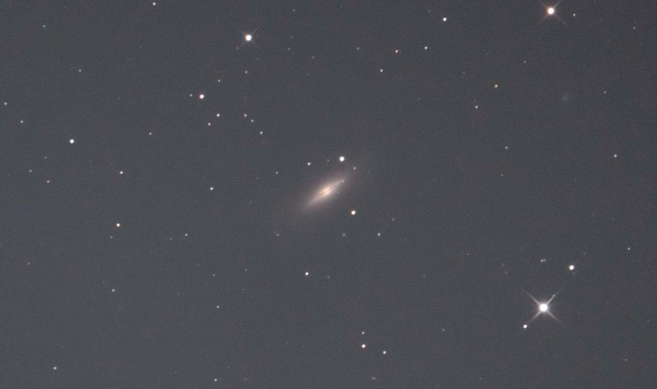 NGC5866 りゅう座レンズ銀河 トリミング 2020年3月