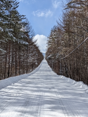 20220112群馬県北軽井沢、雪の一本道