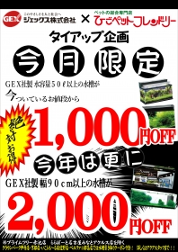【ポスター】②ＧＥＸ水槽　1000・2000円_01