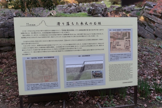 小田原城　地震で滑り落ちた石垣