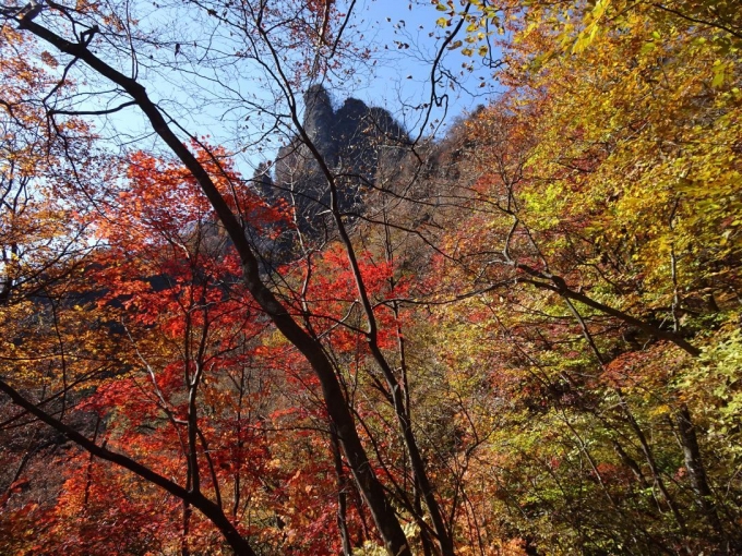 紅葉と岩峰