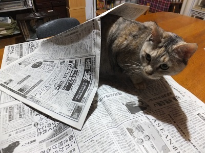 新聞は読めない