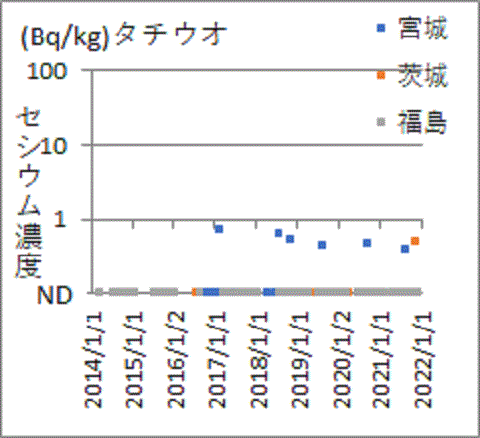 隣県では見つかっても福島産タチウオからは見つからいセシウム