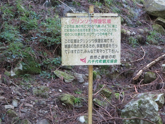 笠形山２０１９，１１ 017-1u