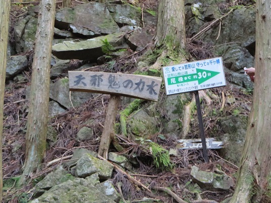 笠形山２０１９，１１ 047-1g