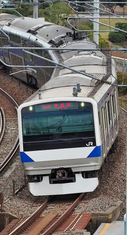 JR 常磐線 E531系 電車【偕楽園 梅桜橋】