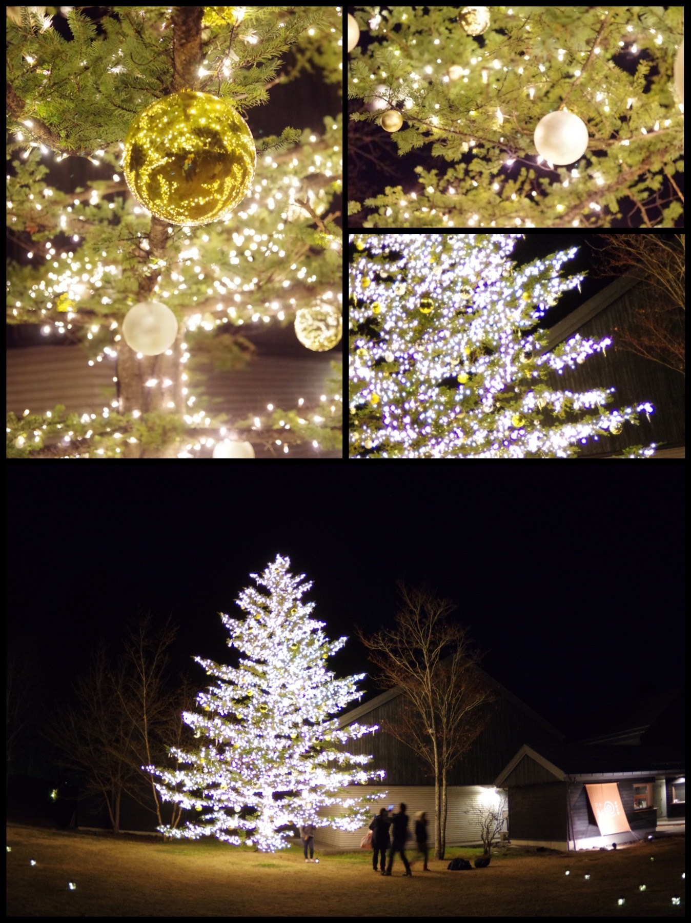 星のや軽井沢 もみの木広場 クリスマスツリー トンボの湯
