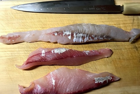 12月6日の釣魚料理 マゴチ ショゴ カイワリを刺身で食す ぴんちょす