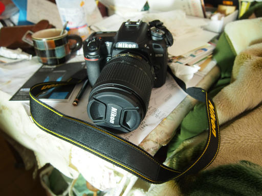 カメラ デジタルカメラ ニコンD7500、買った～。＾±＾ノ | 高橋さんの写真記念館