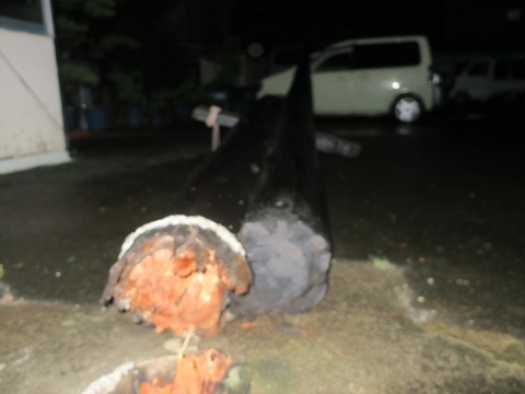 「台風19号被害。鯉のぼり竿が車3台を直撃しました。」① (19)_R