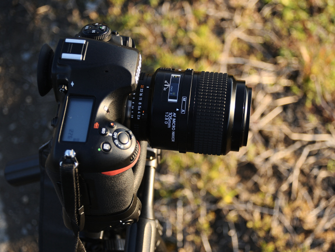 完売】 Nikon F2.8 105mm Micro-Nikkor Ai-s ニコン - レンズ(単焦点) - labelians.fr